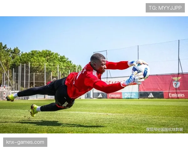 尼斯重塑进攻战术,球队竞争力稳步提升引关注 尼斯重塑进攻战术,球队竞争力稳步提升引关注